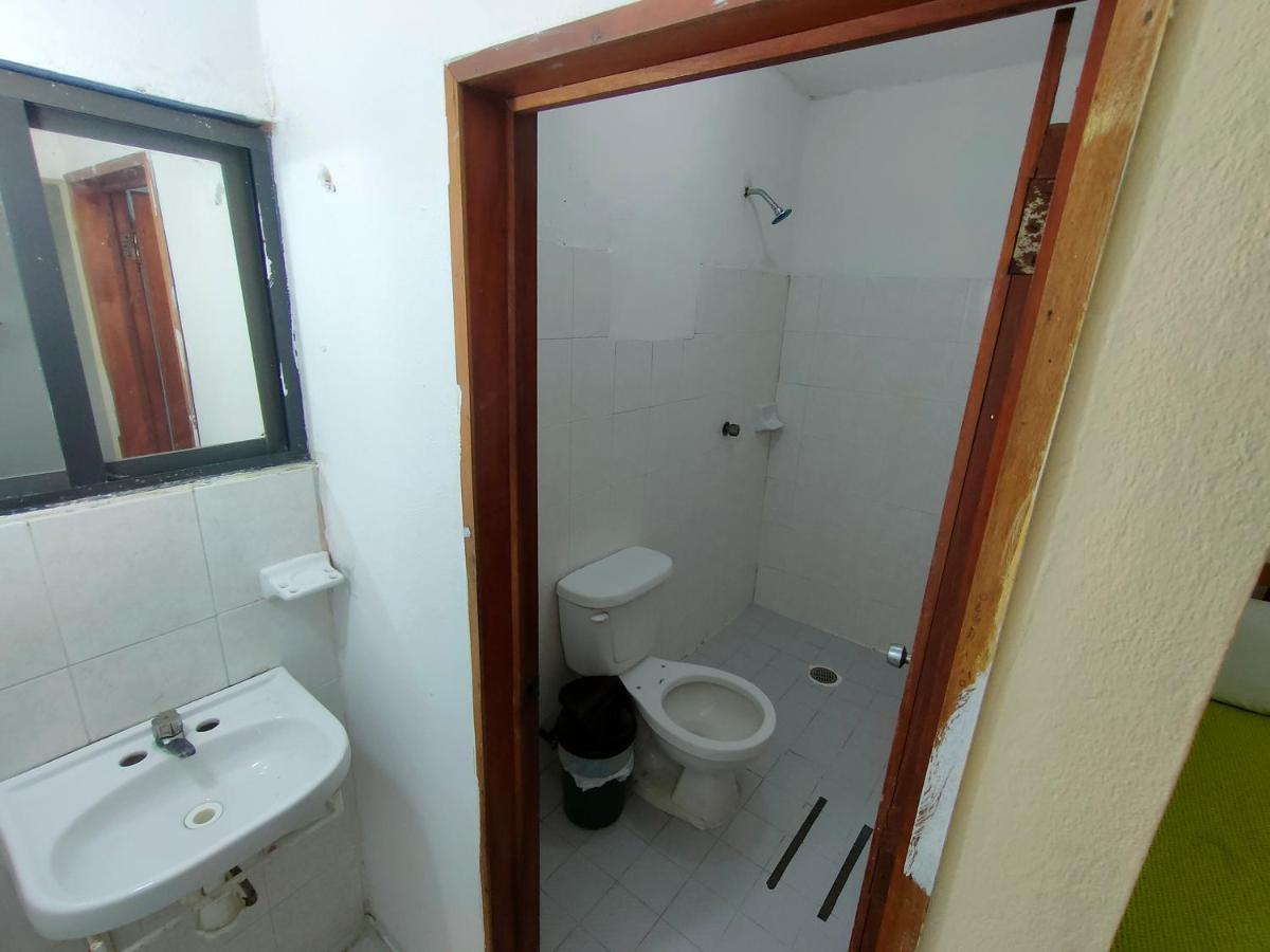 פלנקה Hostal Pakal King מראה חיצוני תמונה