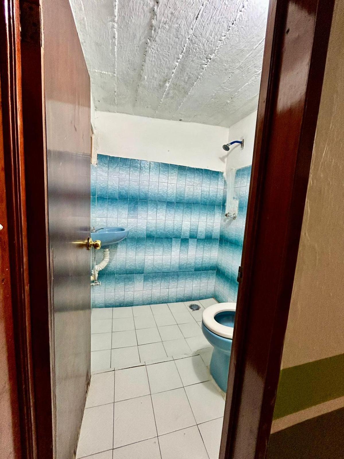 פלנקה Hostal Pakal King מראה חיצוני תמונה