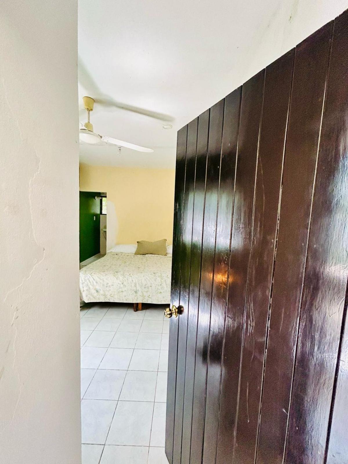 פלנקה Hostal Pakal King מראה חיצוני תמונה