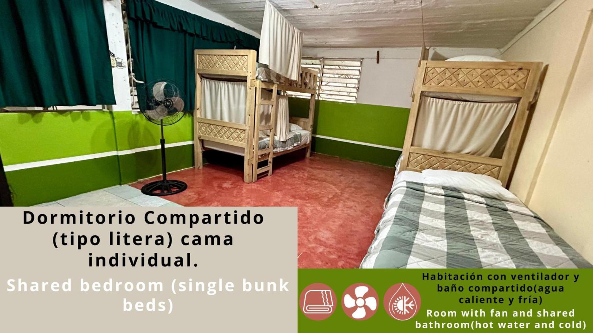 פלנקה Hostal Pakal King מראה חיצוני תמונה