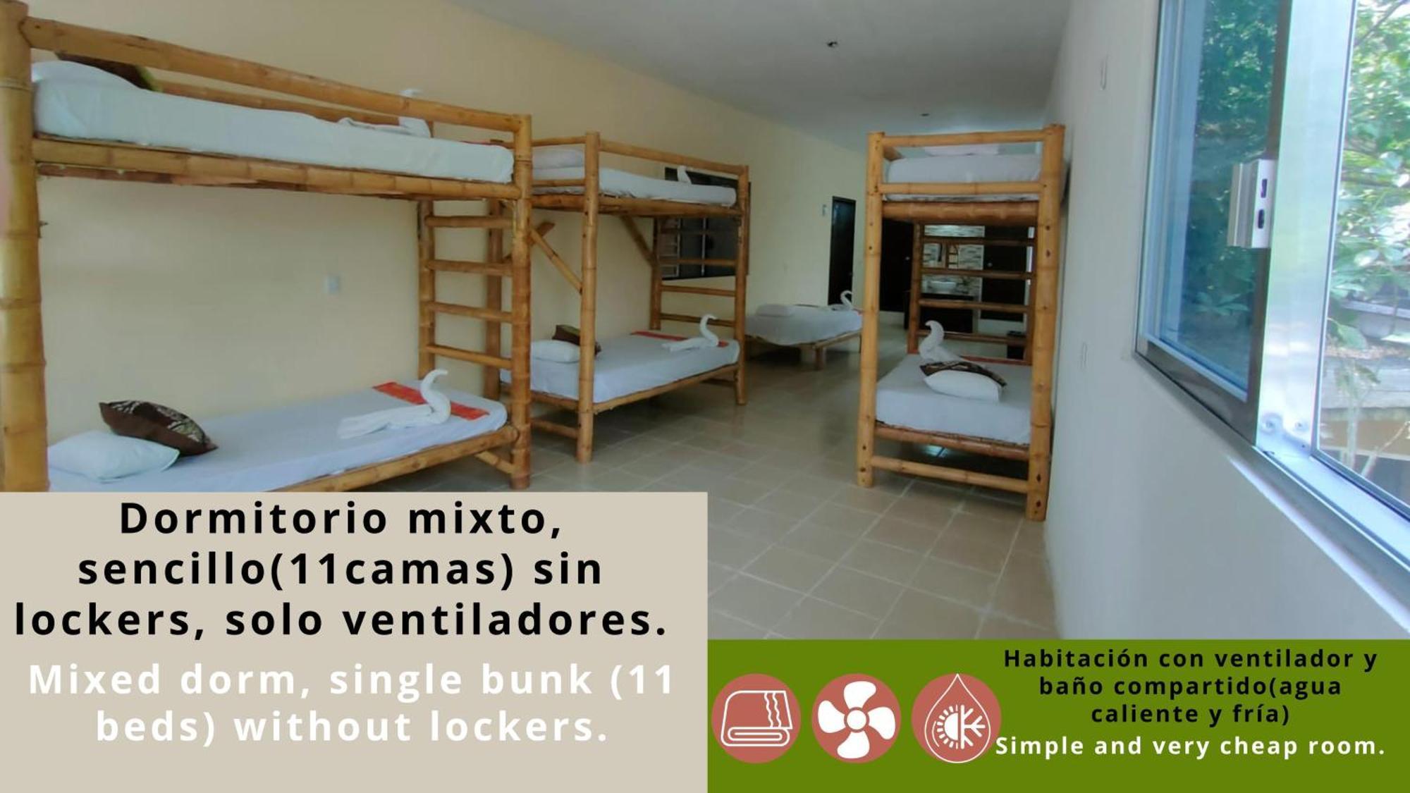 פלנקה Hostal Pakal King מראה חיצוני תמונה